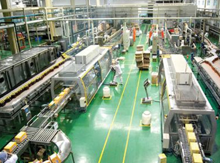 食品/飼料/塑料企業廢氣處（chù）理