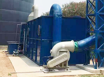 生（shēng）物除臭（chòu）