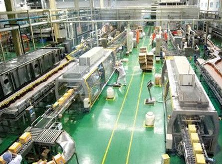 食品/飼（sì）料/塑膠企業廢氣處理