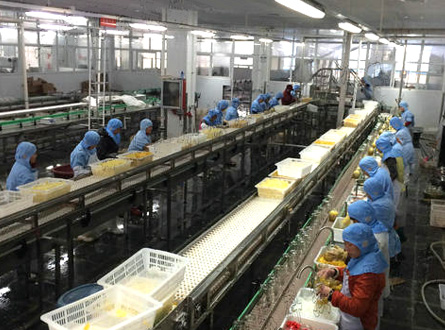  食品加工廢（fèi）氣處理