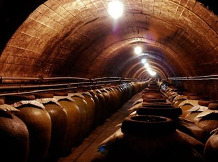 釀造/養殖企業廢（fèi）氣（qì）處（chù）理